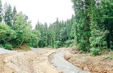 ブロック確認用